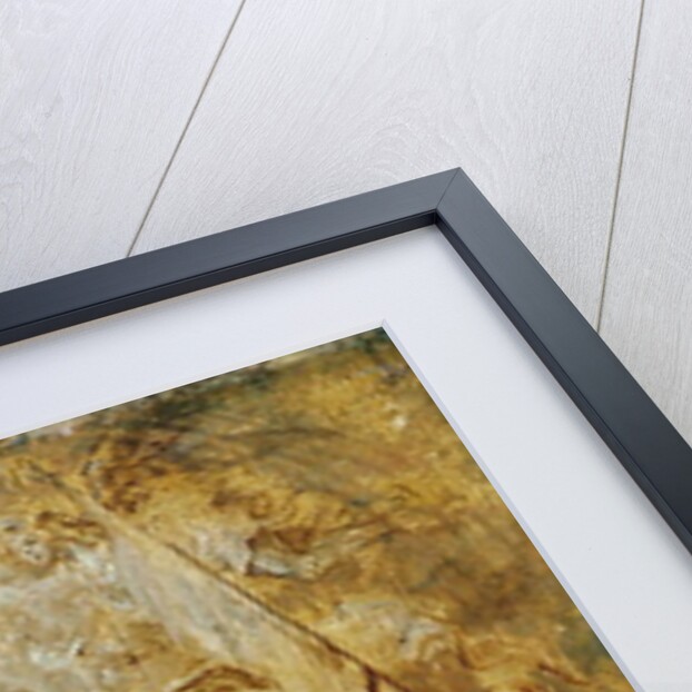 Martyrdom of St. George by Anthony van Dyck