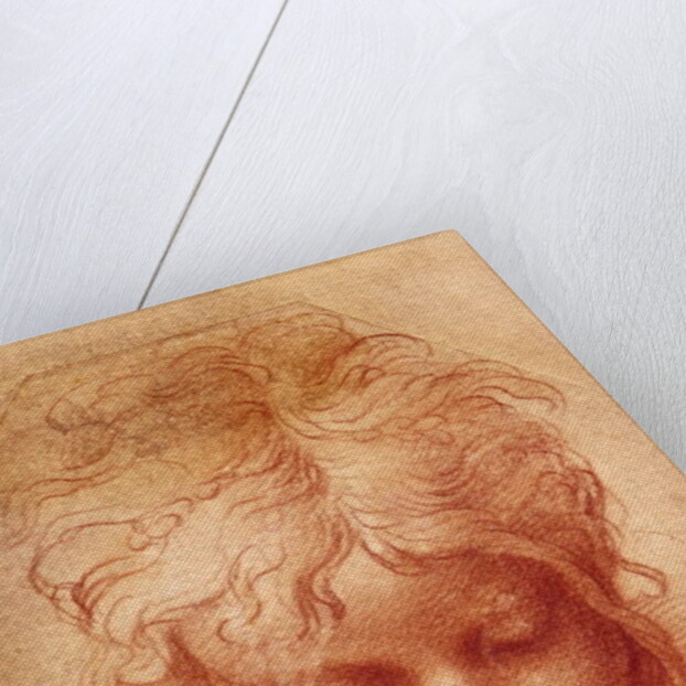 Study of a Head by Parmigianino