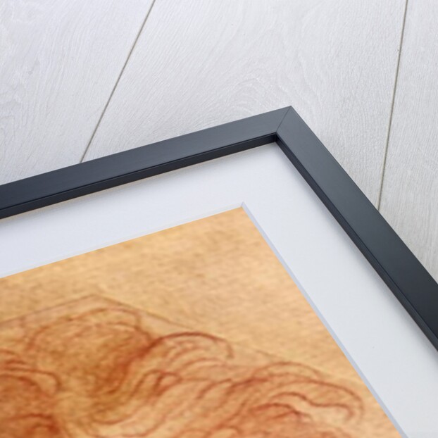 Study of a Head by Parmigianino