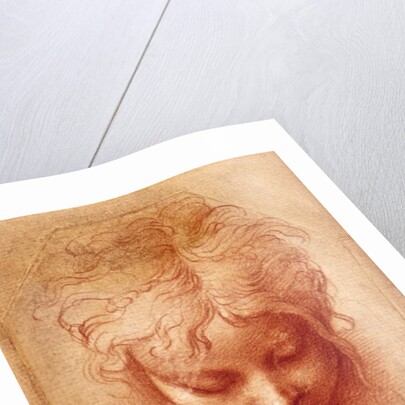 Study of a Head by Parmigianino