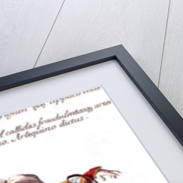 Harlequin on Horseback by German School