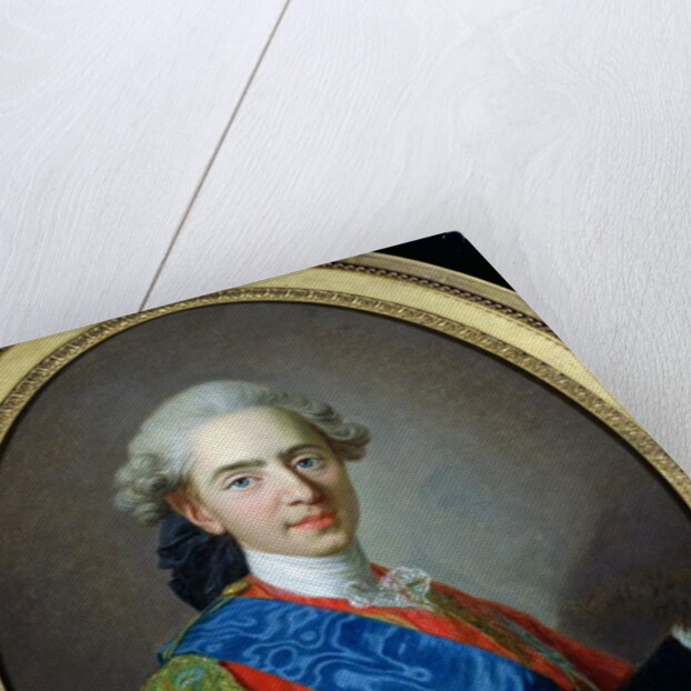 Portrait of Dauphin Louis of France aged 15, 1769 by Louis Michel van Loo
