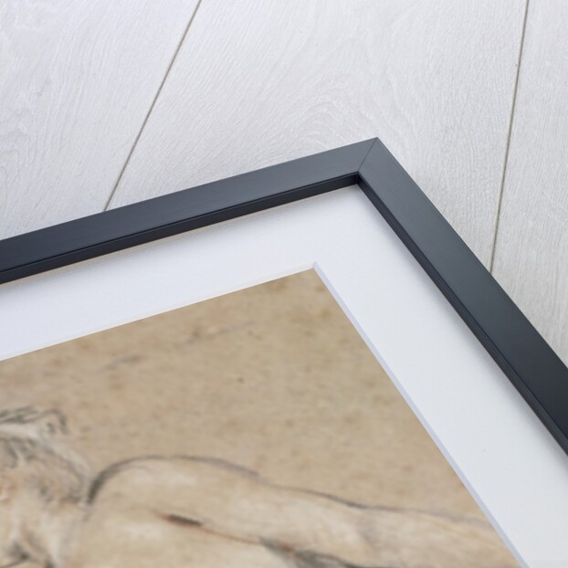 Flora, c.1716 by Jean Antoine Watteau