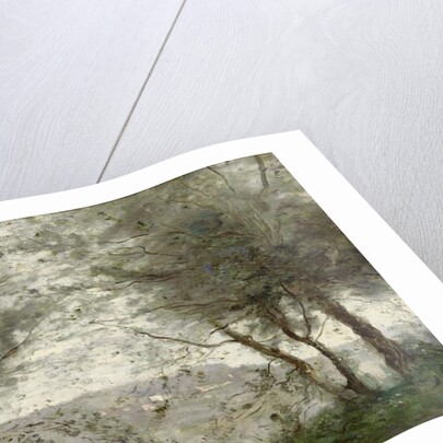 The Pond at Ville-d'Avray through the Trees, 1871 by Jean Baptiste Camille Corot