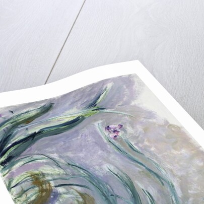 Iris, 1924-25 by Claude Monet