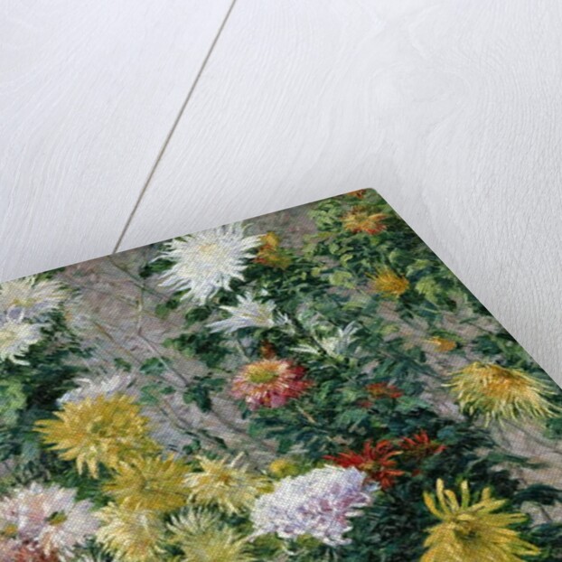 White and Yellow Chrysanthemums, 1893 by Gustave Caillebotte