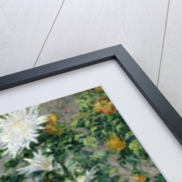 White and Yellow Chrysanthemums, 1893 by Gustave Caillebotte