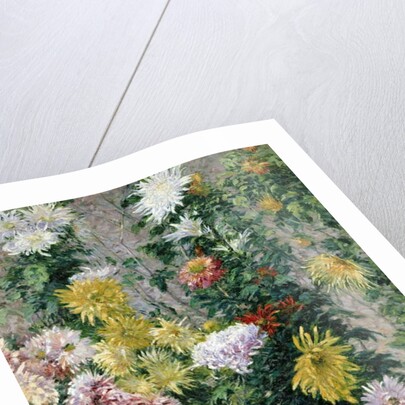 White and Yellow Chrysanthemums, 1893 by Gustave Caillebotte
