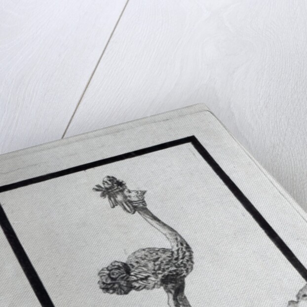 La Poulle d'Autriche by French School