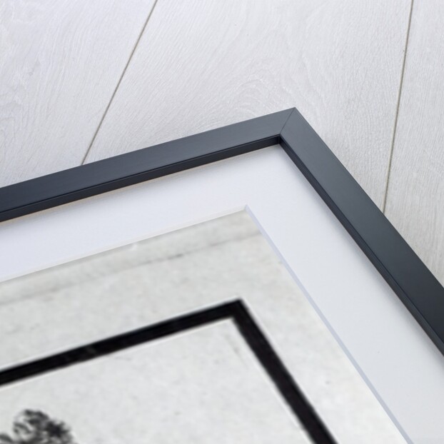 La Poulle d'Autriche by French School