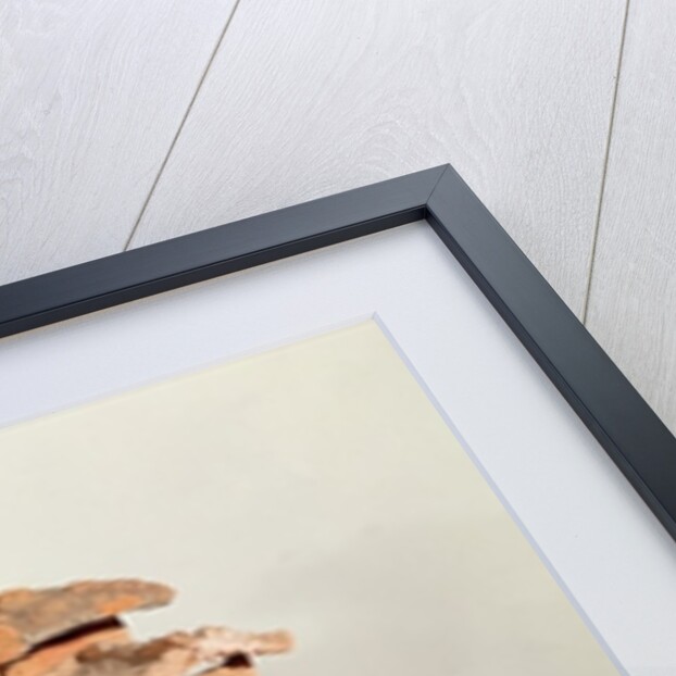 Funerary model of a farm, from Thanh Hoa, Vietnam by School Chinese