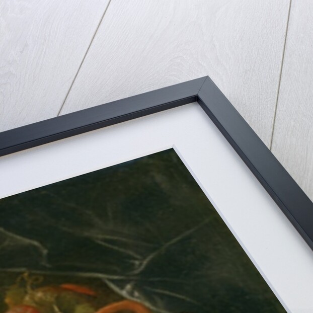 Still Life of Fruit by Alexander Coosemans