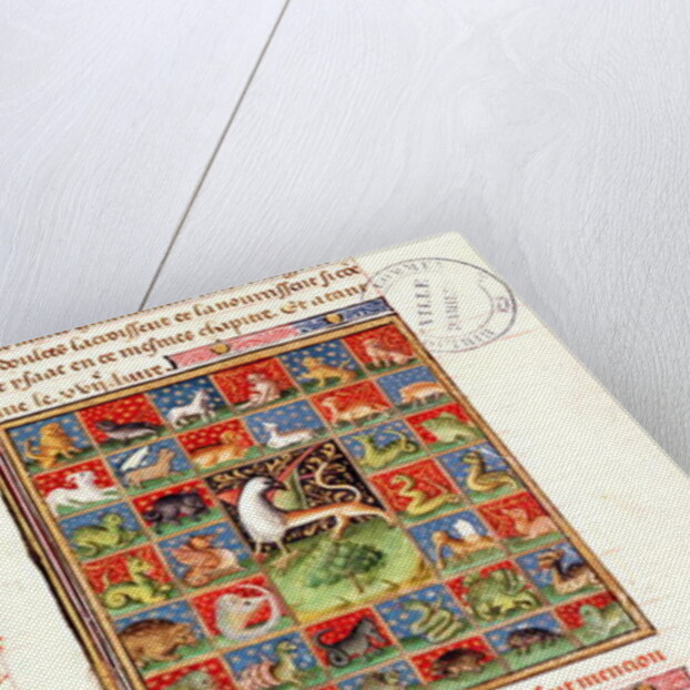 The Properties of Animals by French School