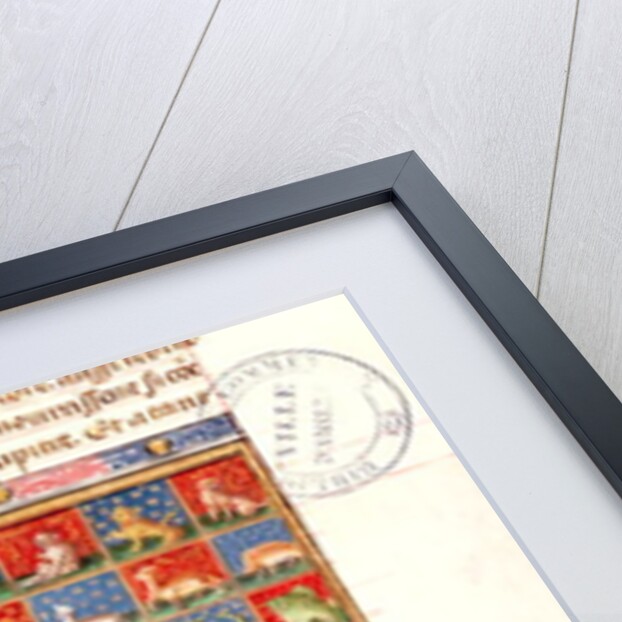 The Properties of Animals by French School