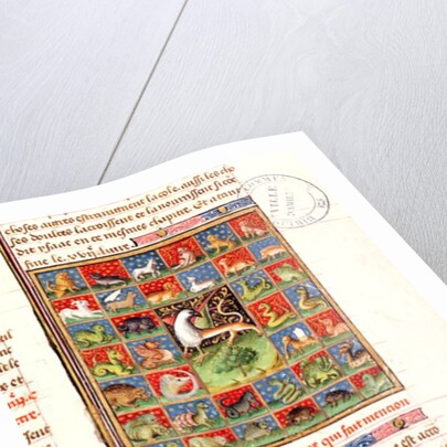 The Properties of Animals by French School