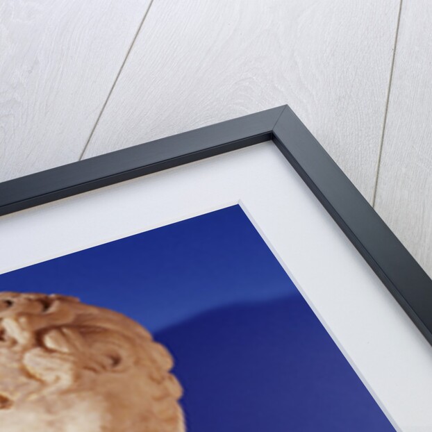 Bust of Metrodorus of Chios by Greek Greek