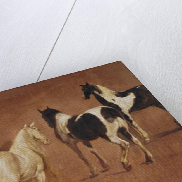 Study of Five Horses by Adam Frans van der Meulen