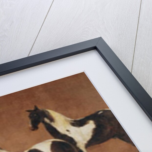 Study of Five Horses by Adam Frans van der Meulen