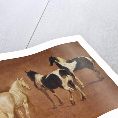 Study of Five Horses by Adam Frans van der Meulen