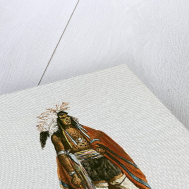 North American Indian by Cartias