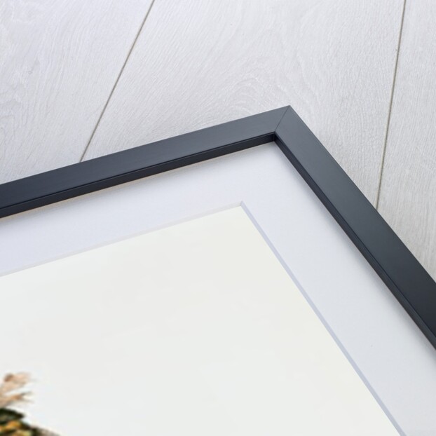 North American Indian by Cartias