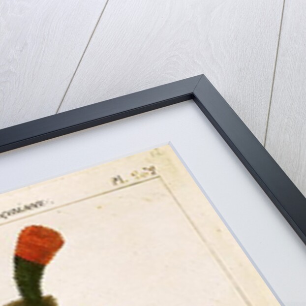 Officer of the Hussars of the Imperial Guard during the First Empire by French School