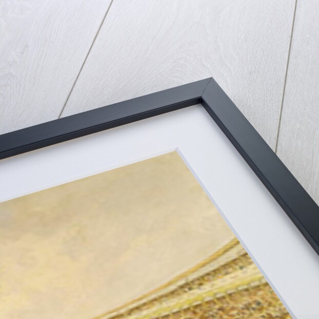 The Bullfight by Eugenio Lucas y Padilla