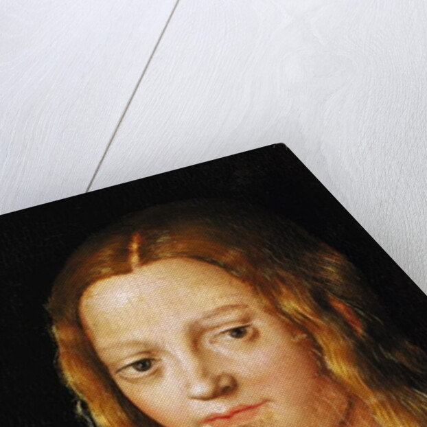 Adam and Eve, detail of Eve's head by Lucas the Elder Cranach