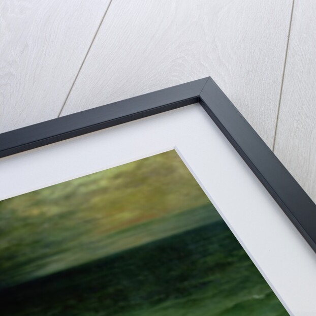 The Shipwreck of Don Juan, 1840 by Ferdinand Victor Eugene Delacroix