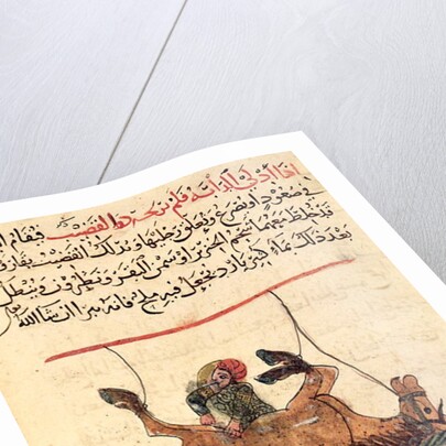 Operation on a horse by Islamic School