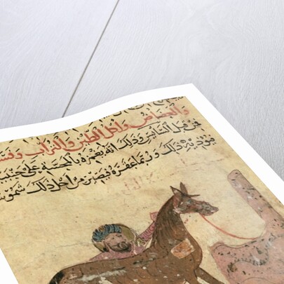 Caring for the horse by Islamic School