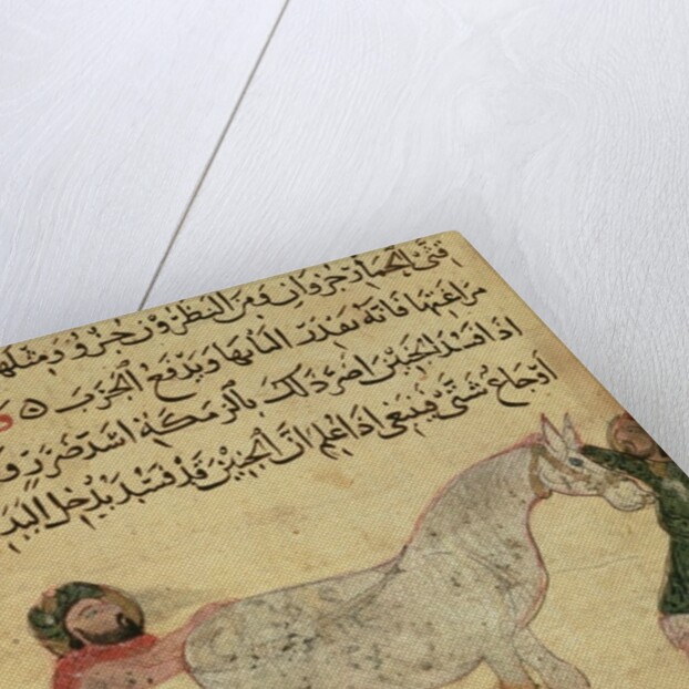 A veterinarian helping a mare to give birth by Islamic School