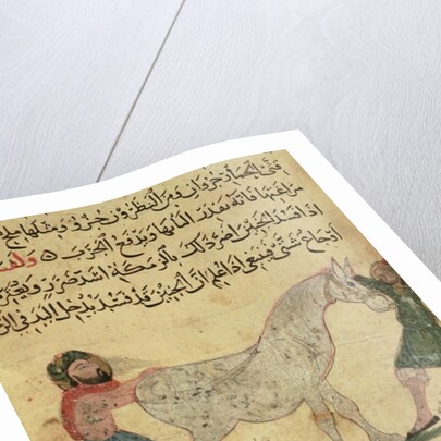 A veterinarian helping a mare to give birth by Islamic School