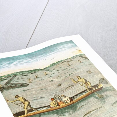 How the Indians Catch their Fish by John (after) White