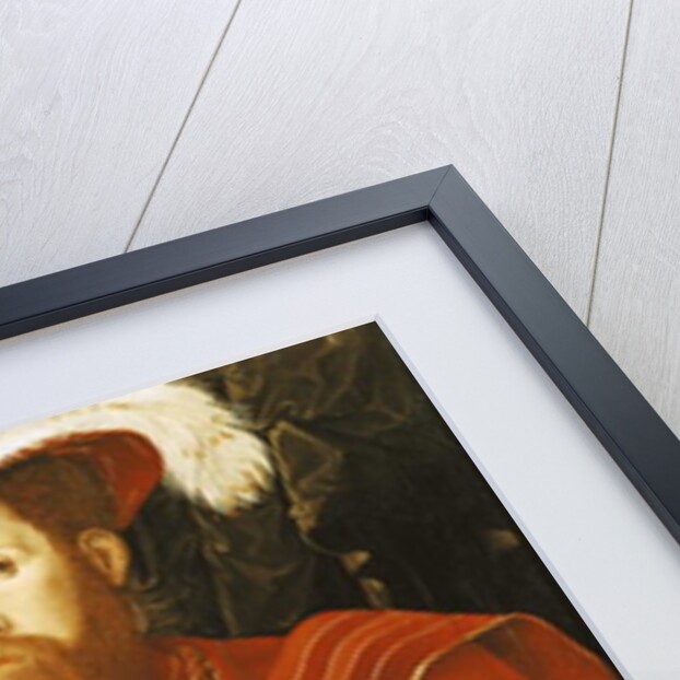 Portrait of a Gentleman of the English Court, 1546 by Hans (attr. to) Eworth or Ewoutsz