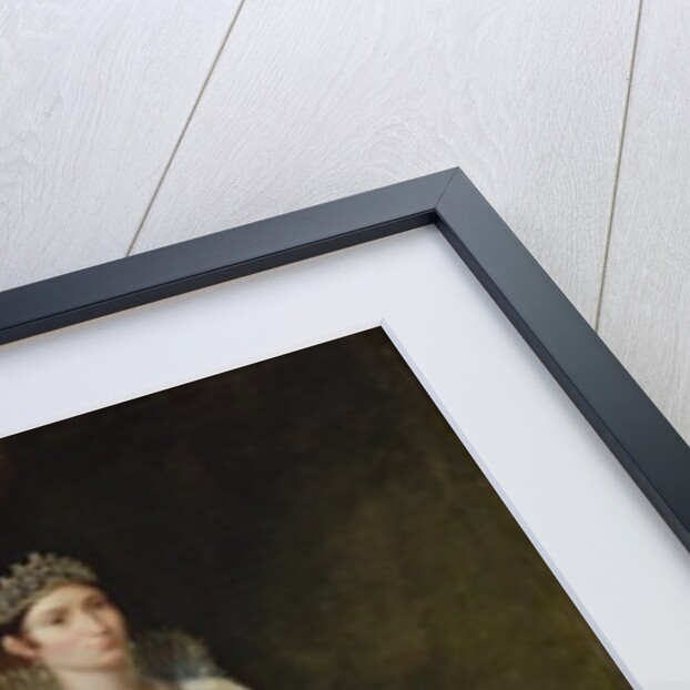 Elisa Bonaparte Princess Bacciochi, 1806 by Guillaume Lethiere