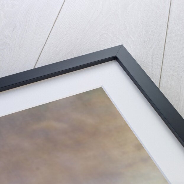 View of St. Peter's, Rome by Auguste Simon Garneray