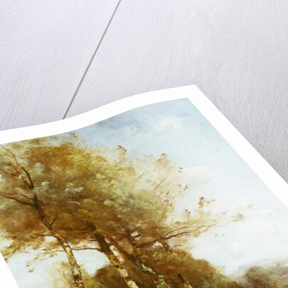 Morning Effect, Silver Birches and a River by Paul Desire Trouillebert