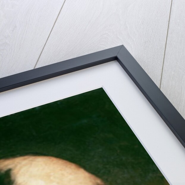 Baron Georges Eugene Haussmann 1867 by Adolphe Yvon