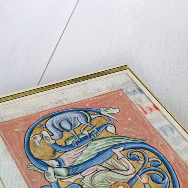 Historiated initial 'S' depicting an acrobat and fantastical animals by French School