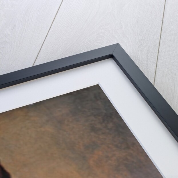 Portrait of a Knight of the Order of Malta by Titian