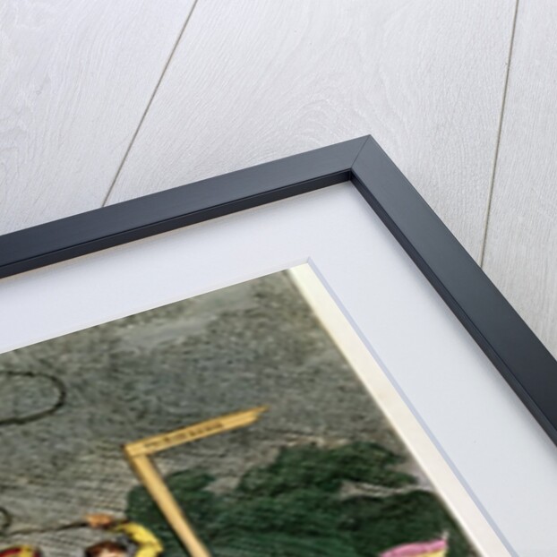 The Spanish Bull Broke Lose by English School