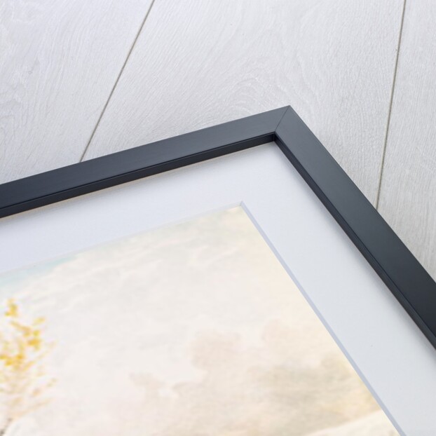 The Wolf as a Shepherd by Jules David