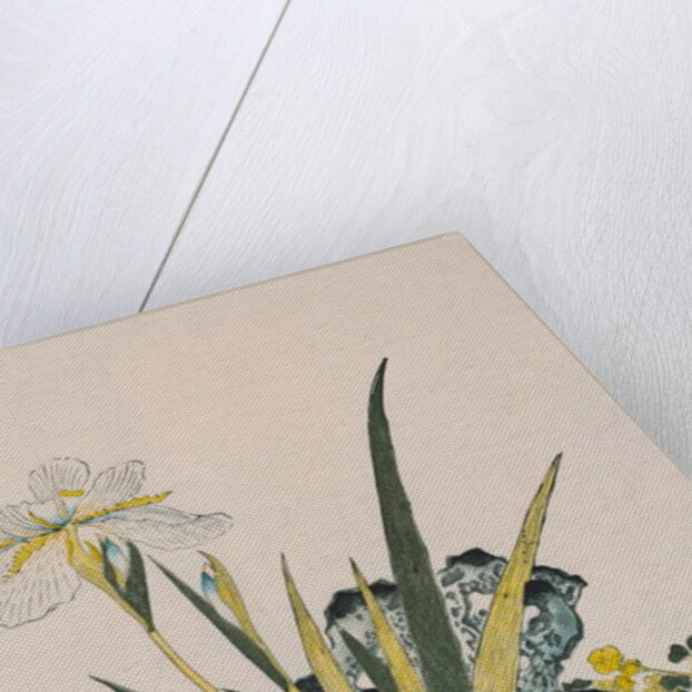 The Garden as Big as a Grain of Mustard, 17th-18th century by School Chinese