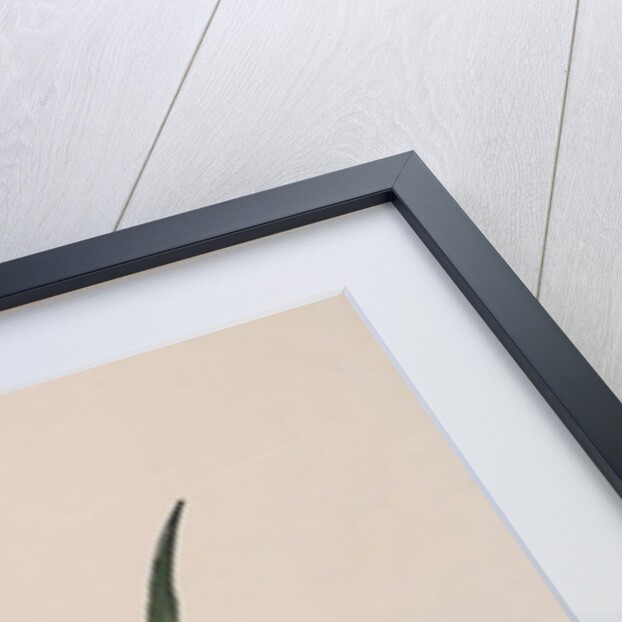 The Garden as Big as a Grain of Mustard, 17th-18th century by School Chinese