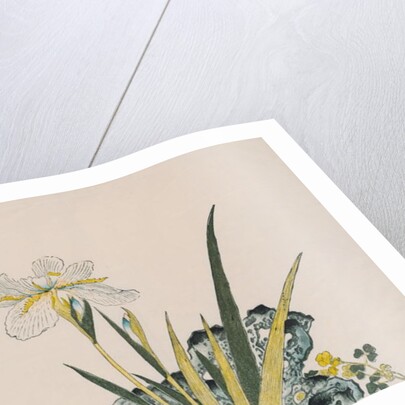 The Garden as Big as a Grain of Mustard, 17th-18th century by School Chinese