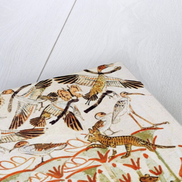 Fishing and fowling in the marshes, detail of the birds by Egyptian 18th Dynasty