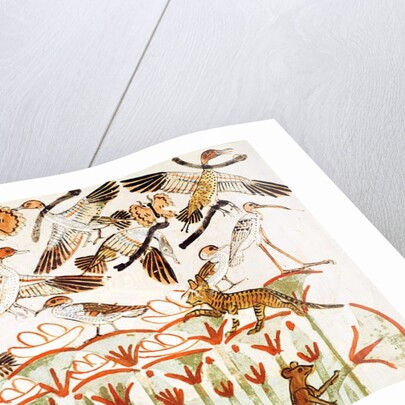 Fishing and fowling in the marshes, detail of the birds by Egyptian 18th Dynasty