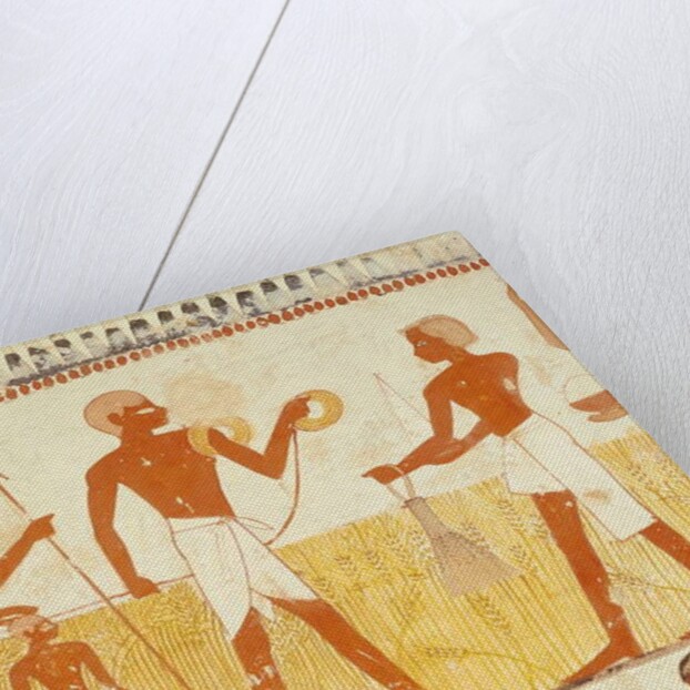 Measuring the land using rope by Egyptian 18th Dynasty