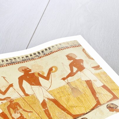 Measuring the land using rope by Egyptian 18th Dynasty